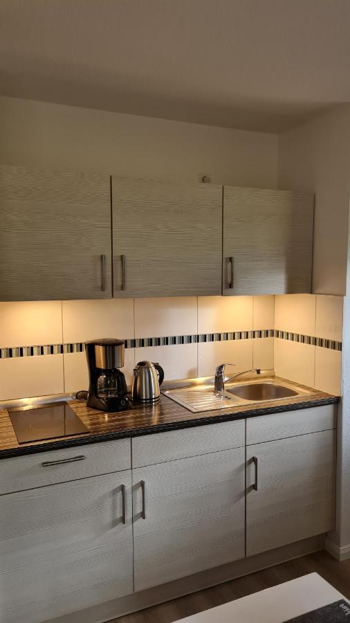 Ferienwohnung Braunlage - Gemuetliche Auszeit エクステリア 写真