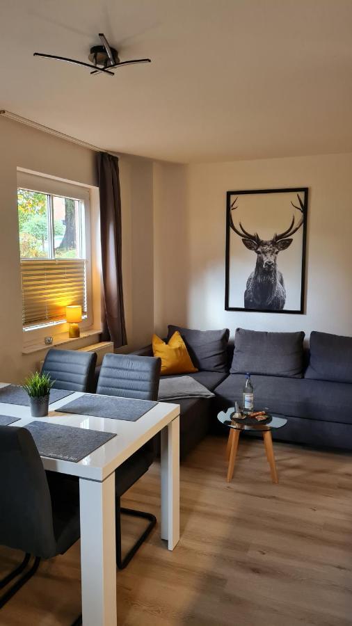 Ferienwohnung Braunlage - Gemuetliche Auszeit エクステリア 写真